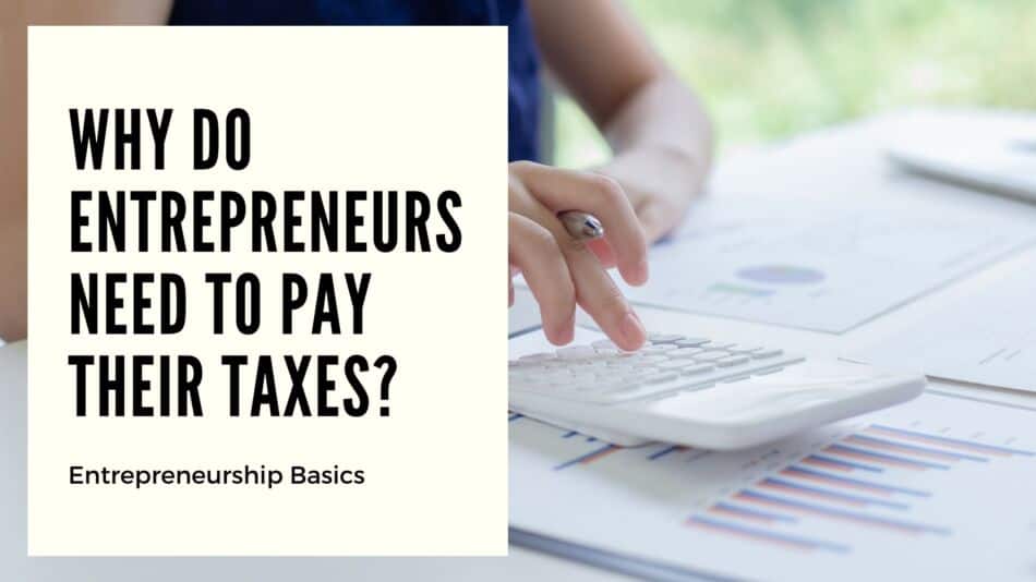 why do entrepreneurs obliged to pay taxes
